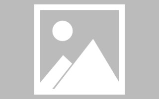 六安新区景区网站建设（in art criticism,you must assume）